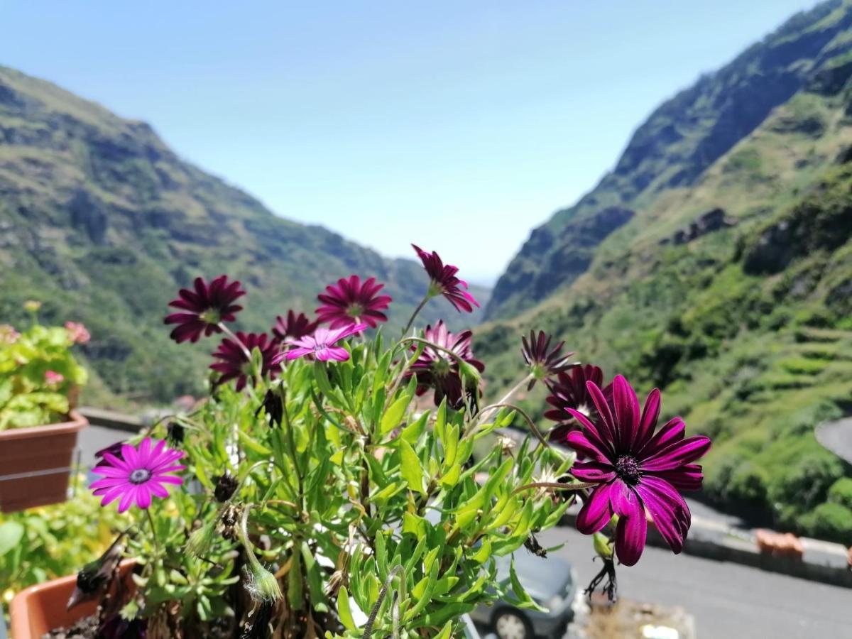 Green Valley House Madeira Ribeira Brava Exterior foto